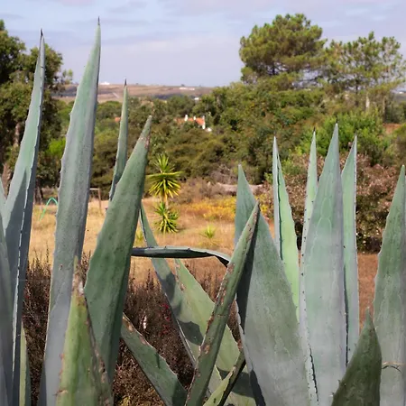 Monte Da Urze - Farmház *