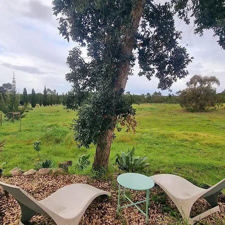 Monte Da Urze - * Aljezur