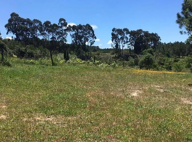 Monte Da Urze - 阿尔热祖尔