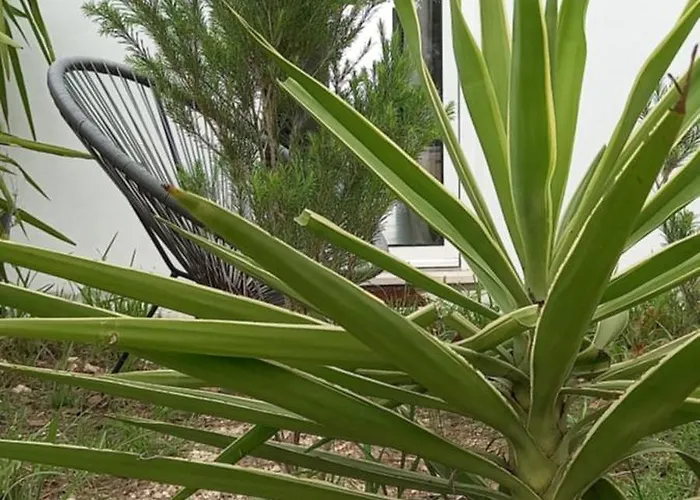 Monte Da Urze - 农家乐 阿尔热祖尔