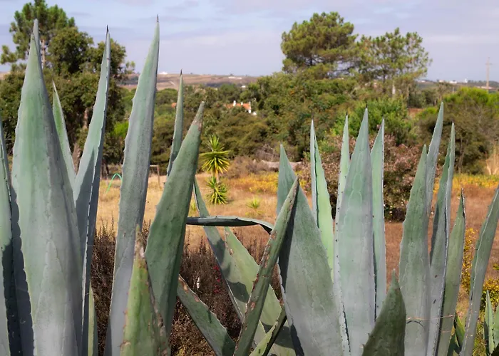 Monte Da Urze - 农家乐 *