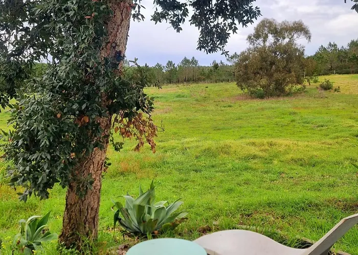 Monte Da Urze - 阿尔热祖尔