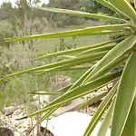 Monte Da Urze - Gospodarstwo agroturystyczne *