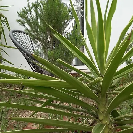 Monte Da Urze - Alloggio per agriturismo Aljezur