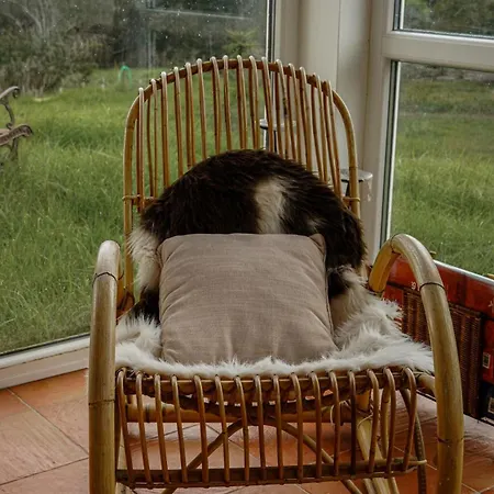 Alloggio per agriturismo Monte Da Urze - *