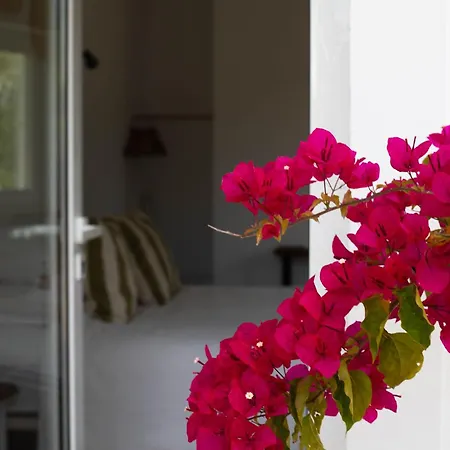 Alloggio per agriturismo Monte Da Urze - *