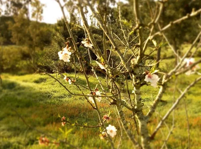Monte Da Urze - Gospodarstwo agroturystyczne