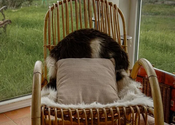 Gospodarstwo agroturystyczne Monte Da Urze - *