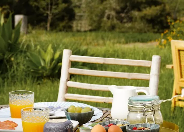 Monte Da Urze - Gospodarstwo agroturystyczne *