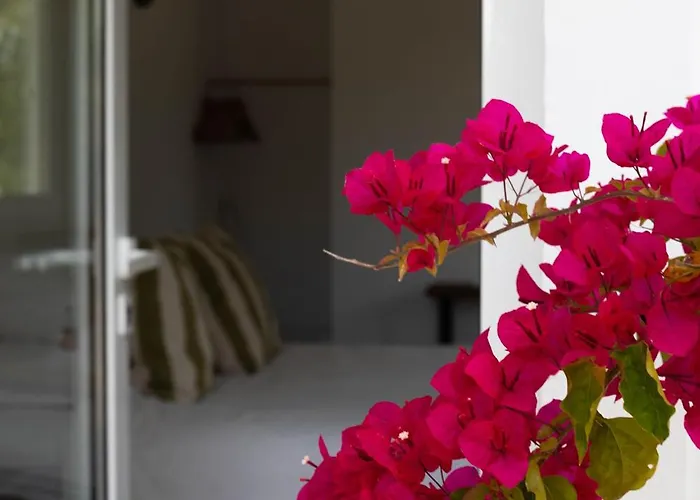 Gospodarstwo agroturystyczne Monte Da Urze - *