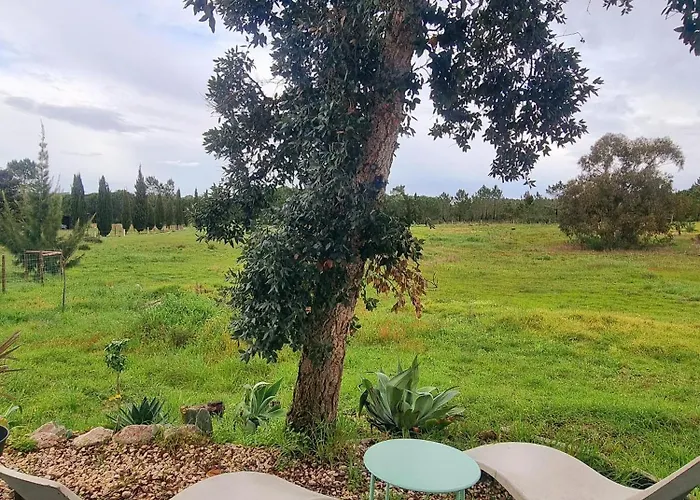 Monte Da Urze - * Aljezur