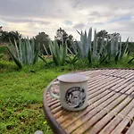 Farm stay Monte Da Urze - *